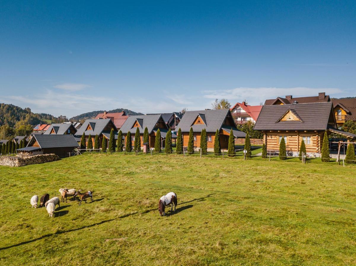 Domki U Adasia Krosnica  Exterior foto